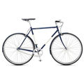 Vintage Chromoly Fixed Gear Bike Single Speed Bicycle